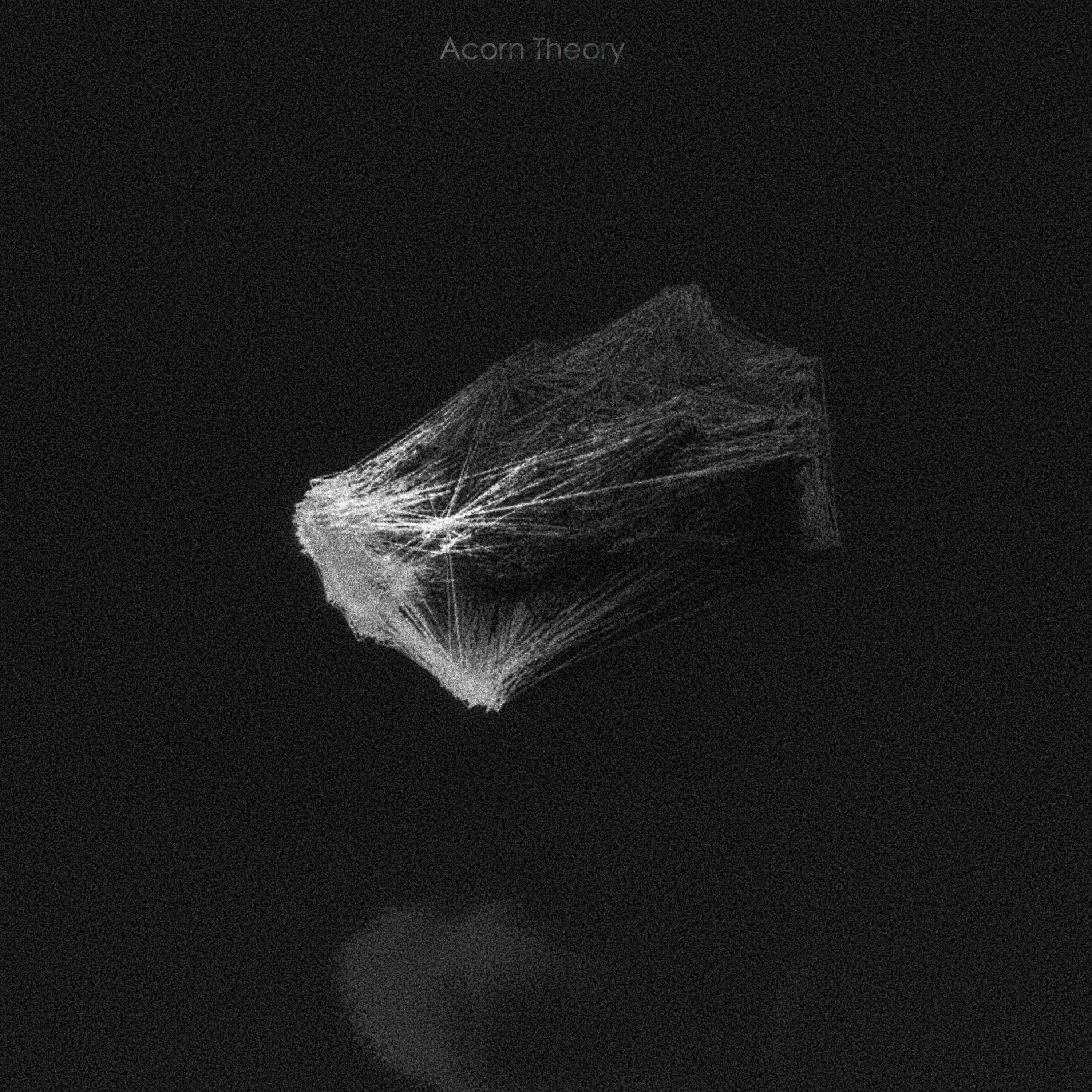 Acorn Theory Artwork