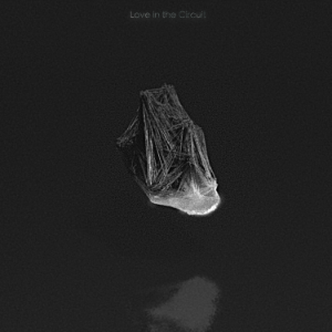 Acorn Theory Artwork